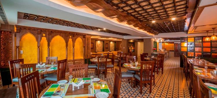 柠檬树斯里纳格酒店(Lemon Tree Hotel Srinagar)图片