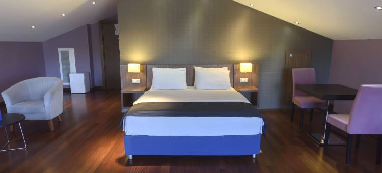 伊斯坦布尔-奥尔涂尼兹达德智选假日酒店(Holiday Inn Express ISTANBUL - ALTUNIZADE by IHG)图片