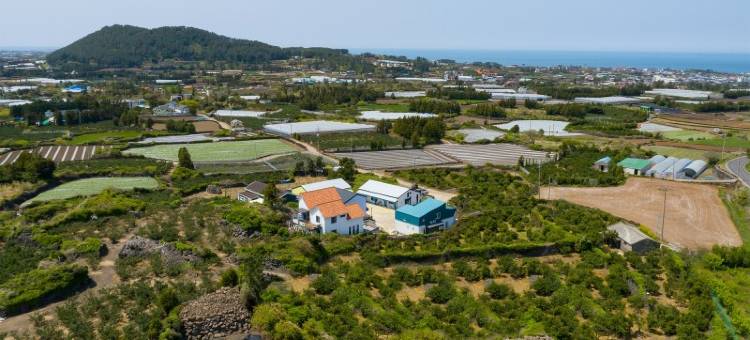 Jeju Woori House Pension图片