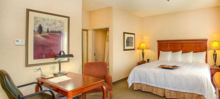 希尔顿欢朋套房酒店-芒廷霍姆(Hampton Inn & Suites Mountain Home)图片