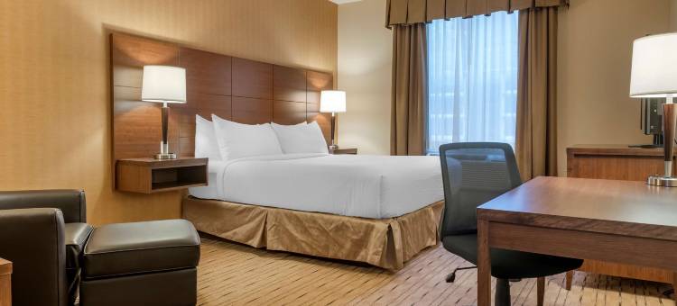 巴瑟斯特贝斯特韦斯特优质套房酒店(Best Western Plus Bathurst Hotel  Suites)图片