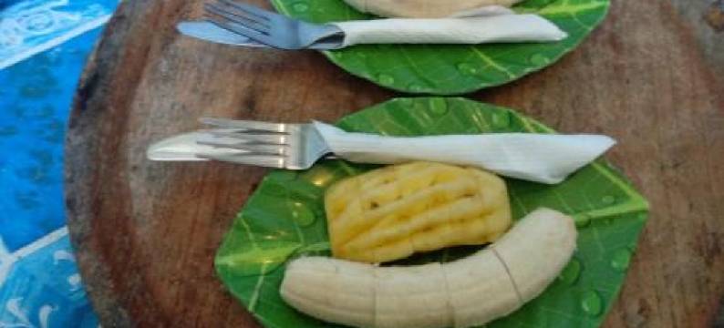 客囊简易别墅住宿加早餐旅馆(Cnunk Bungalow)图片