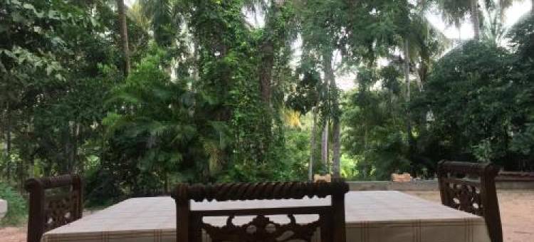 Lake View Homestay图片