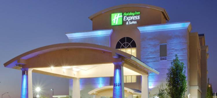 智选假日套房酒店萨克拉门托机场NATOMAS(Holiday Inn Express & Suites SACRAMENTO AIRPORT NATOMAS by IHG)图片