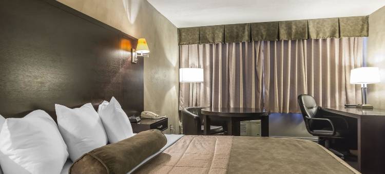 会议中心品质酒店(Quality Hotel & Conference Centre)图片