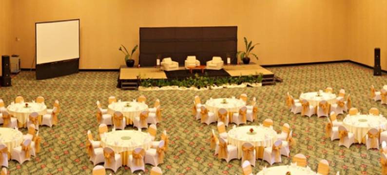 巨港半岛酒店(Sintesa Peninsula Hotel)图片