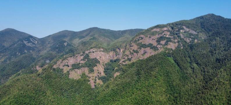 安吉赞琳民宿图片