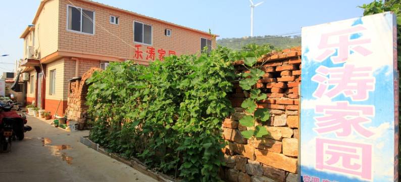 长岛乐涛家园渔家乐图片