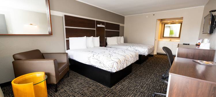 维吉尼亚海滩马格努森酒店(Magnuson Hotel Virginia Beach)图片