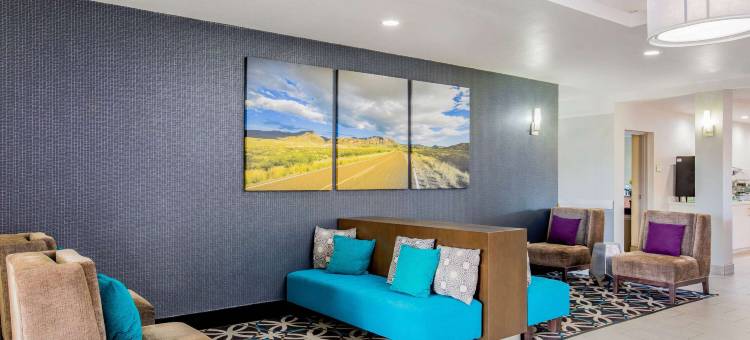 西麦卡伦米西翁拉昆塔温德姆套房酒店(La Quinta Inn & Suites by Wyndham Mission at West McAllen)图片