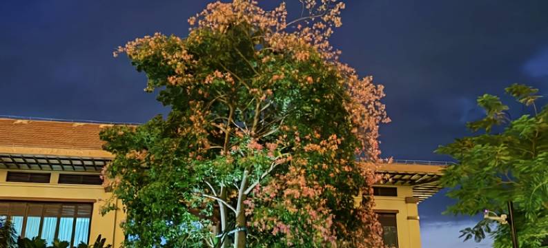 罗莉公寓(槟榔河路分店)图片