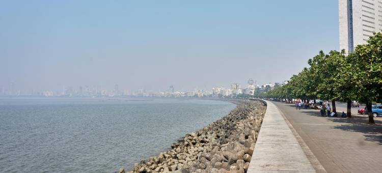 太阳城酒店(Hotel Sun City Near Saifee Hospital and HN Reliance Hospital)图片