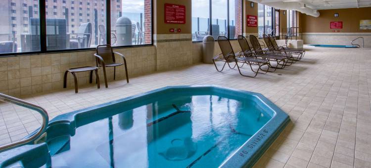 圣路易斯拱门德鲁里广场酒店(Drury Plaza St. Louis at the Arch)图片