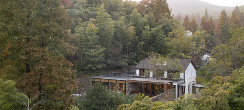 菩提谷(杭州大麓寺店)图片