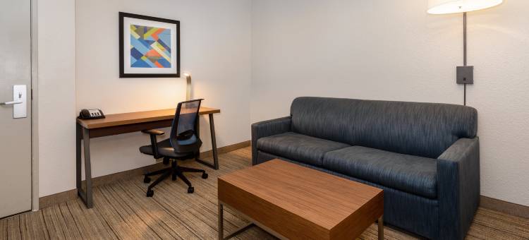图森北-马拉纳智选假日套房酒店(Holiday Inn Express & Suites TUCSON NORTH - MARANA by IHG)图片