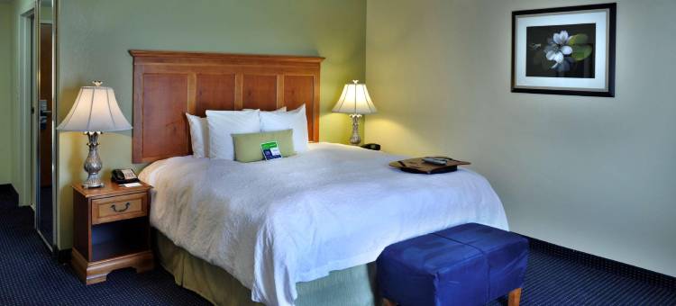 亚特兰大六旗游乐园希尔顿欢朋旅馆&套房酒店(Hampton Inn & Suites ATL-Six Flags)图片