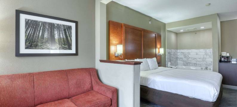 麦迪逊舒适套房酒店(Comfort Suites Madison West)图片