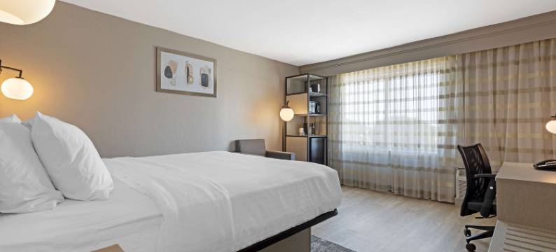 沃斯堡北贝斯特韦斯特普拉斯酒店(Best Western Plus Fort Worth North)图片