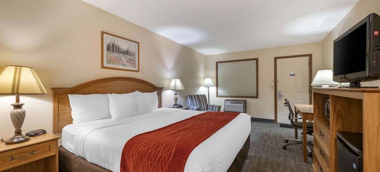 SureStay Plus Hotel by Best Western Buffalo图片