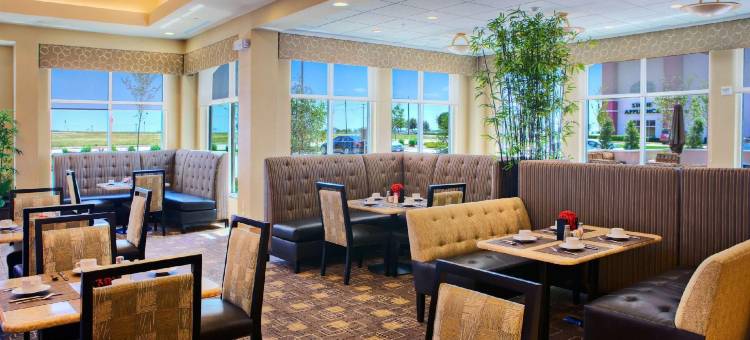 葡萄藤达拉斯沃尔斯堡国际机场希尔顿花园酒店(Hilton Garden Inn DFW North Grapevine)图片