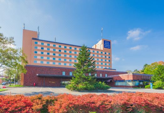 Hotel Grand Terrace Chitose Hotel Overview