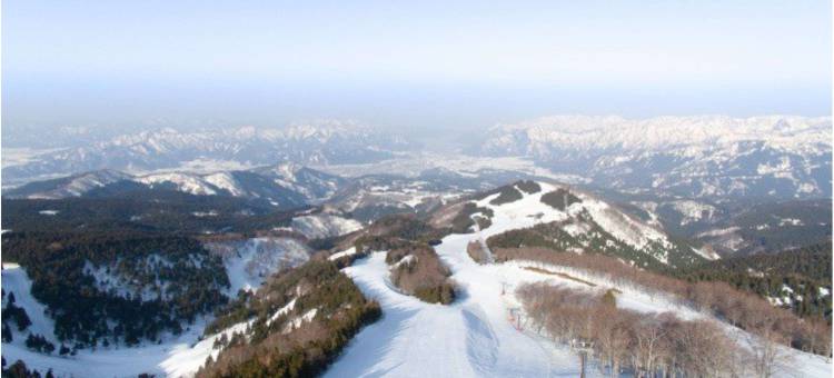 福井宫殿酒店(Fukui Palace Hotel)图片