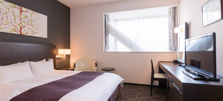 大阪机场酒店(Osaka Airterminal Hotel)图片