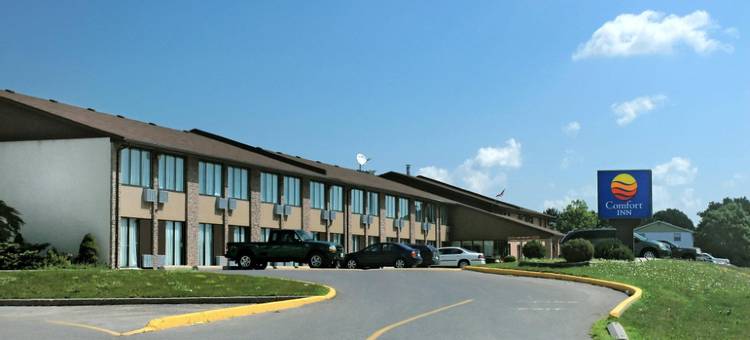 贝勒维尔舒适酒店(Comfort Inn)图片