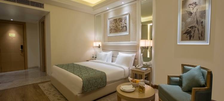 赖布尔辛哈尼亚萨罗瓦门廊酒店(Singhania Sarovar Portico)图片