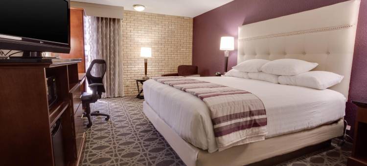 圣安东尼奥机场德鲁里广场酒店(Drury Plaza Hotel San Antonio Airport)图片