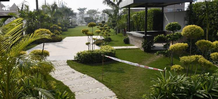 帕拉塔帕瓦西尼舒适客栈(Comfort Inn Pratapvasini)图片