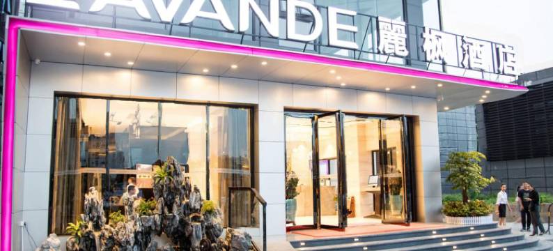 麗枫酒店(深圳龙岗坂田地铁站店)图片