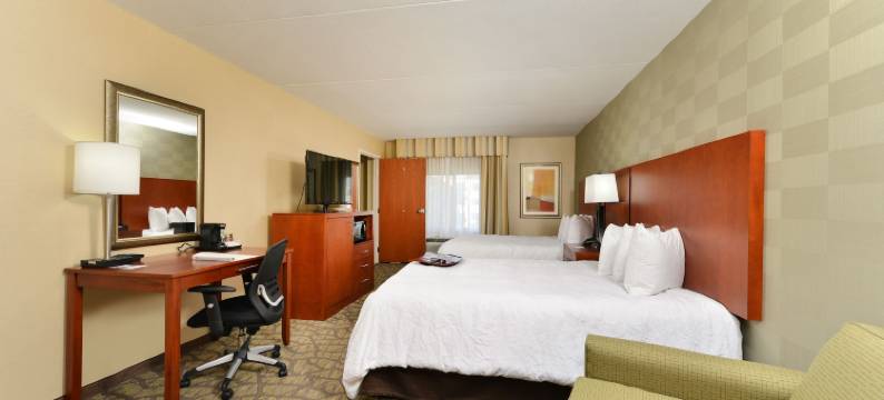 奥本希尔斯南部底特律欢朋酒店(Hampton Inn Detroit/Auburn Hills South)图片