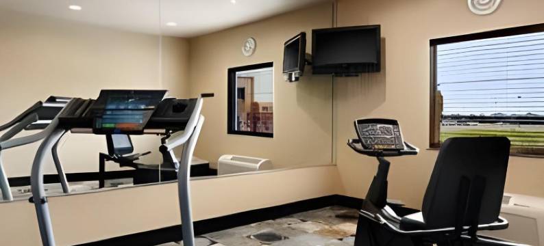 孤星旅馆及套房(Lone Star Inn & Suites)图片