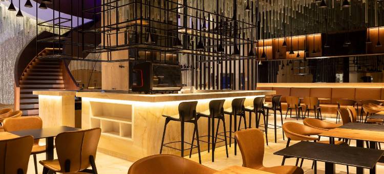 突尼斯市中心丽笙酒店(Radisson Hotel Tunis City Center)图片