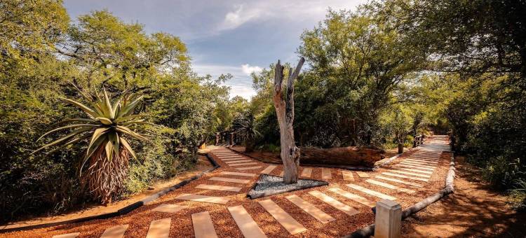 卡帕玛水牛营地(Kapama Buffalo Camp)图片