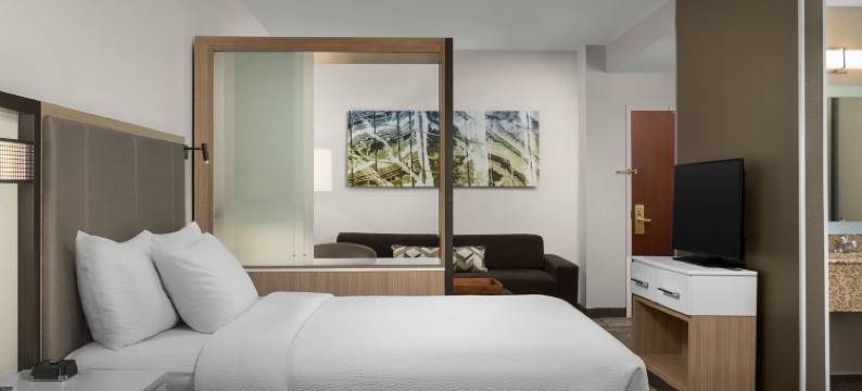 波士顿皮博迪万豪SpringHill酒店(SpringHill Suites Boston Peabody)图片