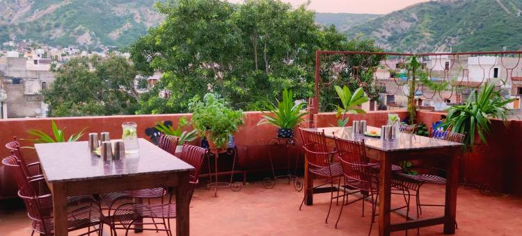奇洛特精品酒店及屋顶餐厅齐普尔(Chillout - A Boutique Hotel & Rooftop Restaurant Jaipur)图片