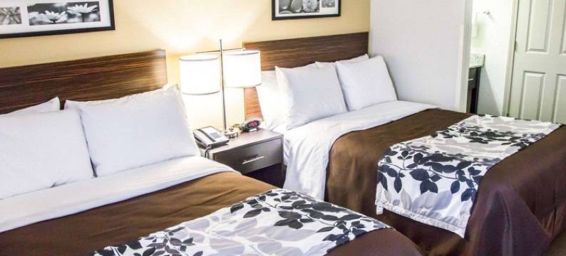 廷利帕尔克I80-近露天剧场-会议中心舒眠酒店(Sleep Inn Tinley Park I-80 Near Amphitheatre-Convention Center)图片