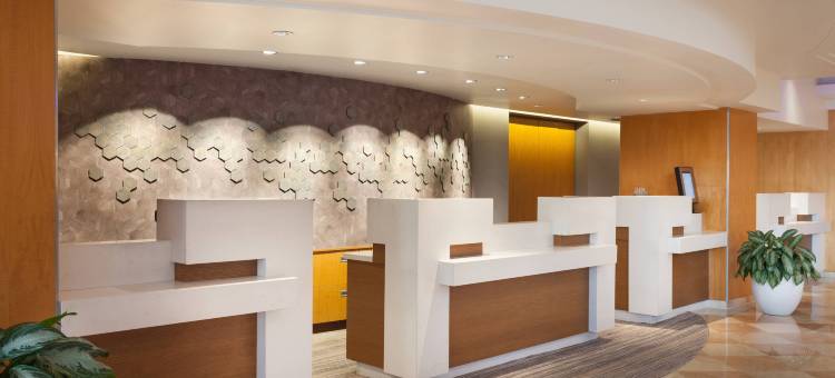 劳德代尔堡海港海滩万豪度假酒店及水疗中心(Fort Lauderdale Marriott Harbor Beach Resort & Spa)图片