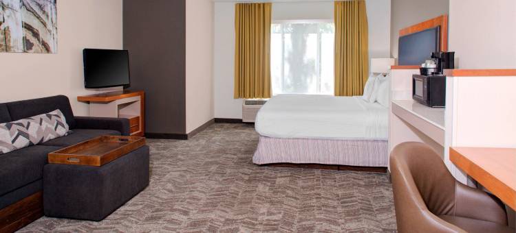 孟菲斯东部/商业街廊 SpringHill Suites 酒店(SpringHill Suites Memphis East/Galleria)图片