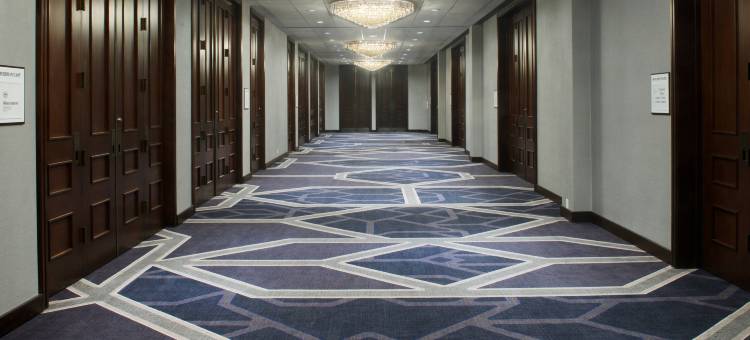 印第安纳波利斯市中心喜来登酒店(Sheraton Indianapolis City Centre Hotel)图片