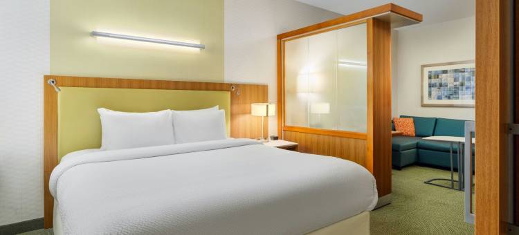 斯克兰顿蒙塔格山万豪SpringHill酒店(SpringHill Suites Scranton Montage Mountain)图片