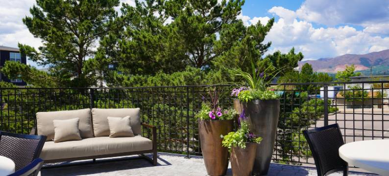 科罗拉多斯普林斯I-25中央欢朋酒店(Hampton Inn by Hilton Colorado Springs I-25 Central)图片