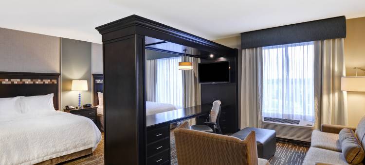 丹佛机场欢朋套房酒店/盖特韦帕克(Hampton Inn & Suites Denver/Airport-Gateway Park)图片