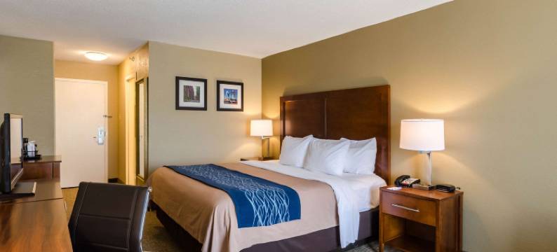 舒适酒店兰道夫 - 波士顿(Comfort Inn Randolph-Boston)图片