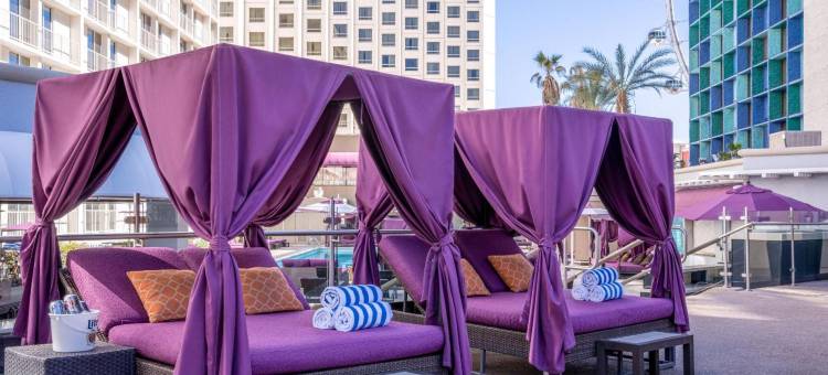 哈拉斯拉斯维加斯娱乐场度假酒店(Harrah’s Las Vegas – A Caesars Rewards Destination)图片