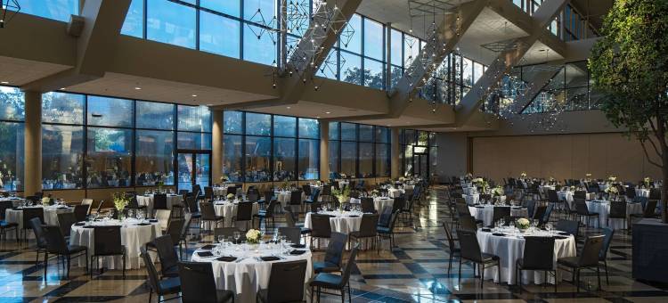 达拉斯艾迪生万丽酒店(Renaissance Dallas Addison Hotel)图片