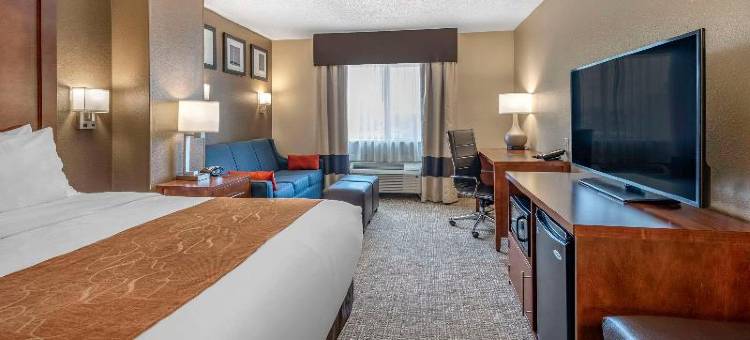 特雷霍特大学区舒适套房酒店(Comfort Suites Terre Haute University Area)图片