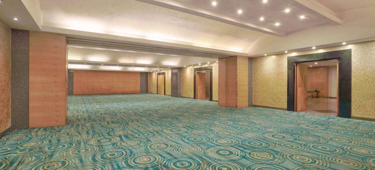 金奈OMR 丽亭酒店(Park Plaza Chennai OMR)图片